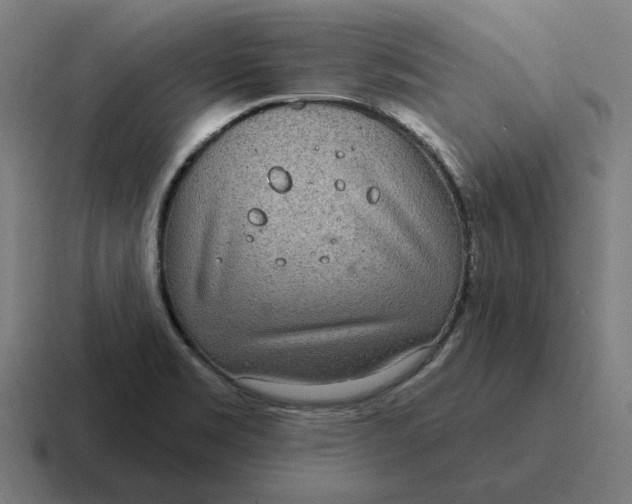 X0000116811469200912311946