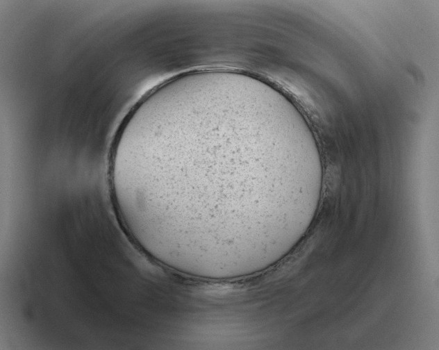 X0000116811470200912311946