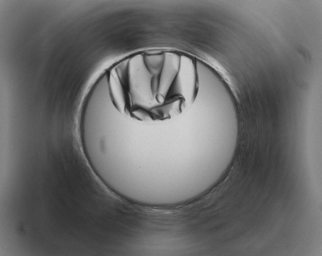 X0000116811472200912311946