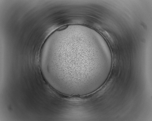 X0000116811473200912311946