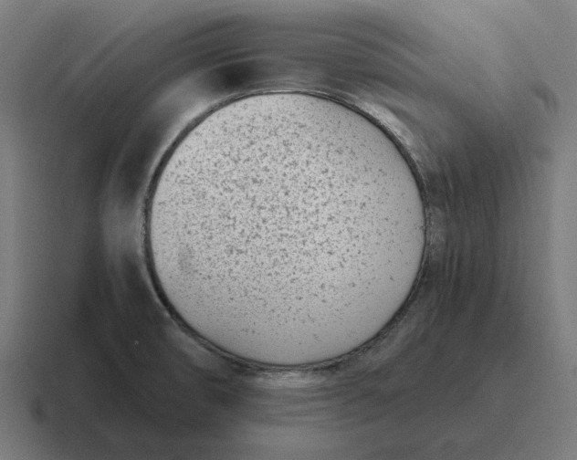 X0000116811474200912311946