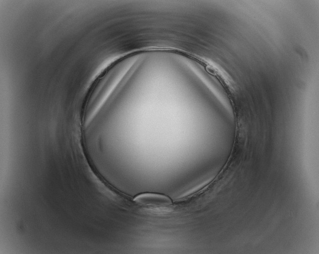 X0000116811476200912311946