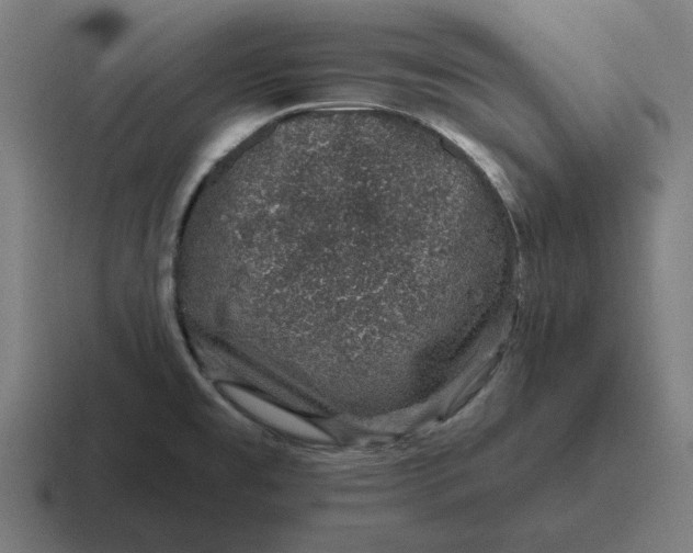 X0000116811477200912311946