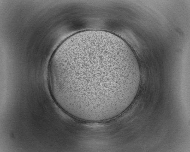 X0000116811478200912311946