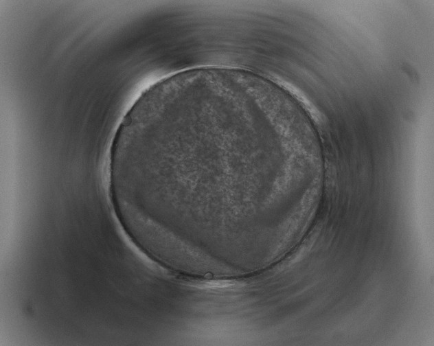 X0000116811479200912311946