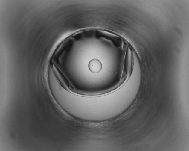 X0000116811480200912311946