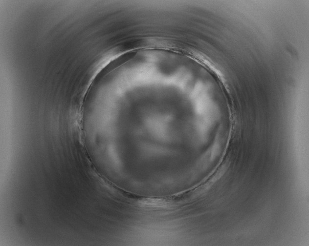 X0000116811481200912311946