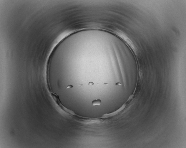 X0000116811482200912311946