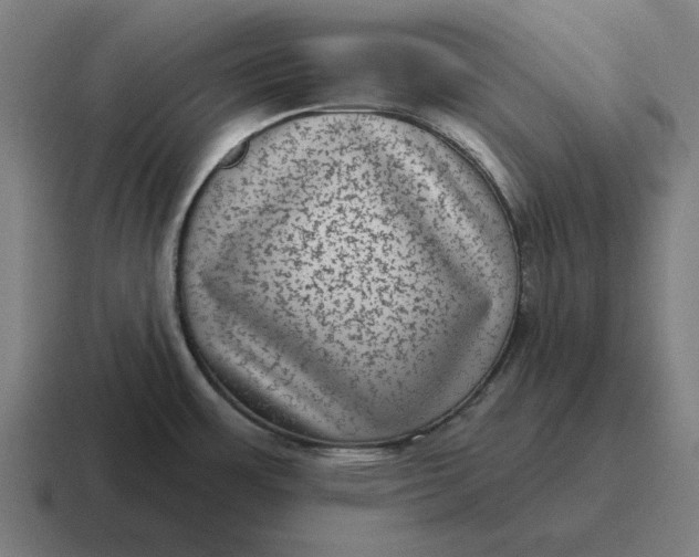 X0000116811483200912311946