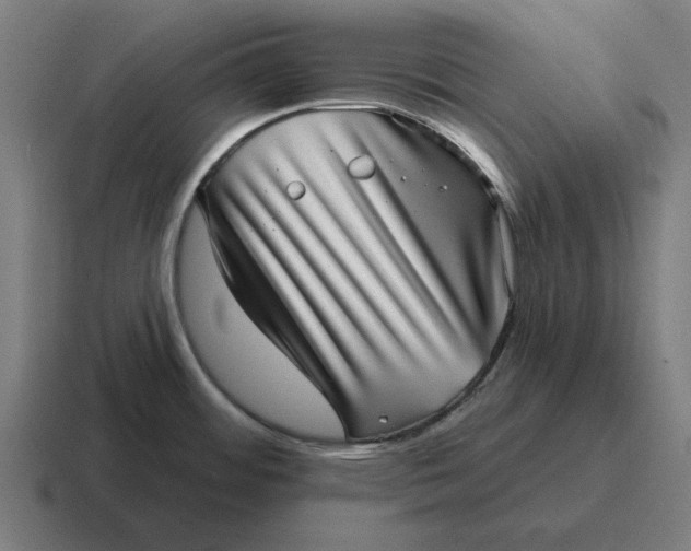 X0000116811484200912311946