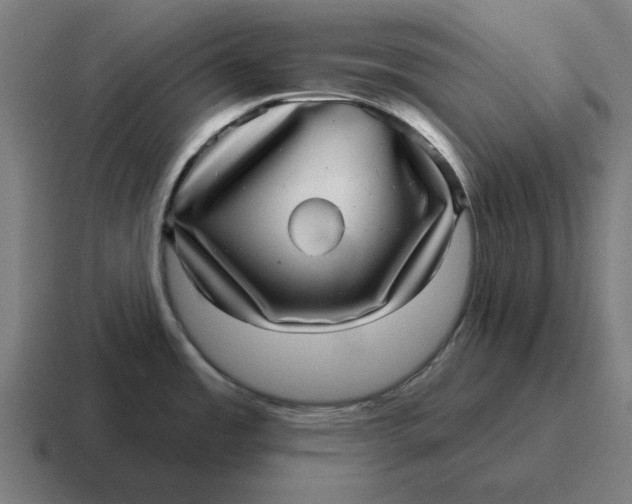 X0000116811485200912311946