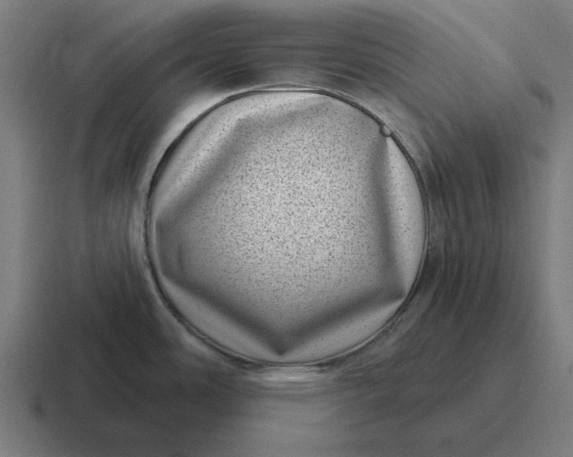 X0000116811486200912311946