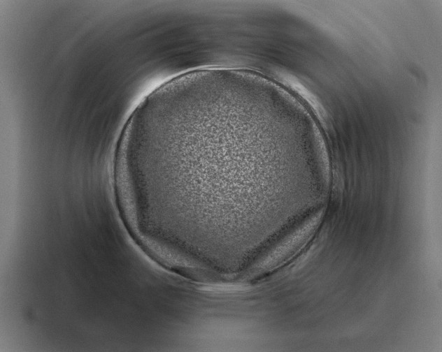 X0000116811487200912311946