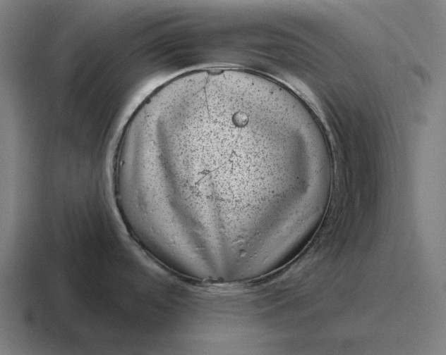 X0000116811488200912311946