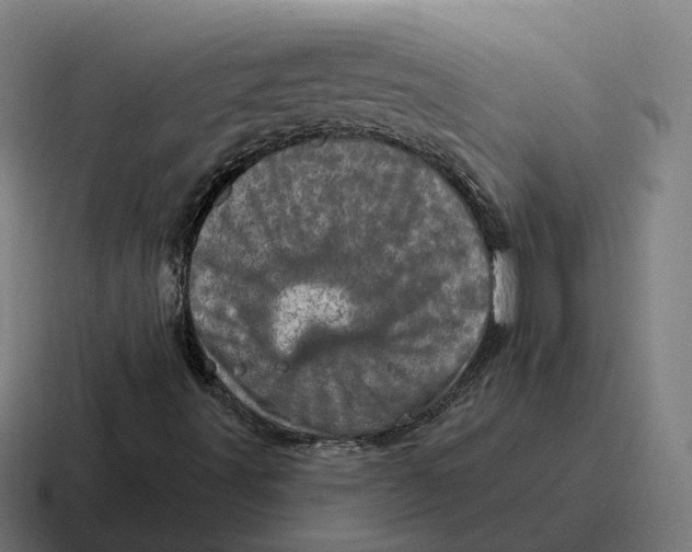 X0000116811491200912311945