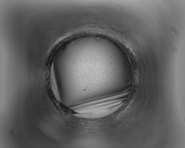 X0000116811494200912311945