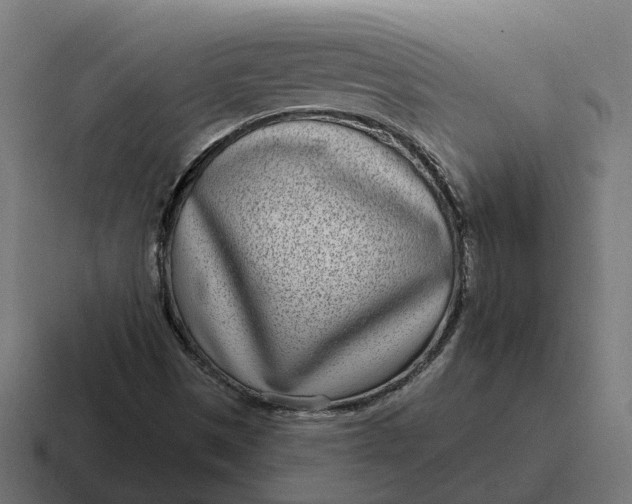 X0000116811497200912311945