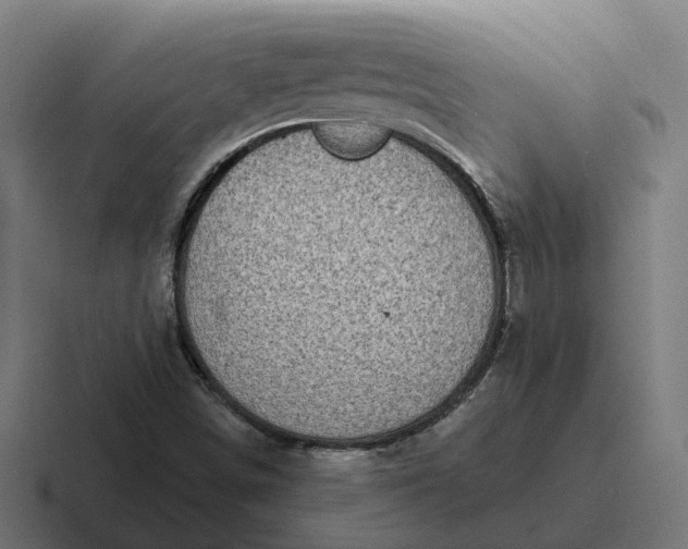 X0000116811498200912311945