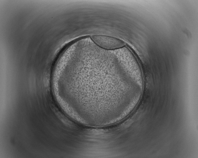 X0000116811499200912311945