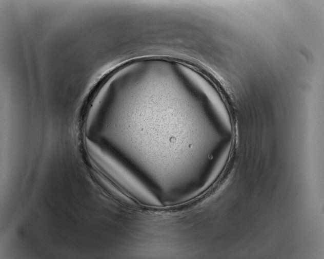 X0000116811501200912311945