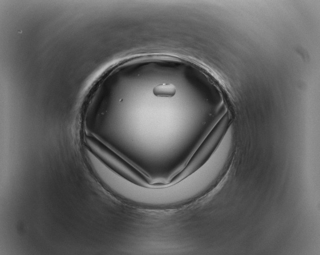 X0000116811502200912311945