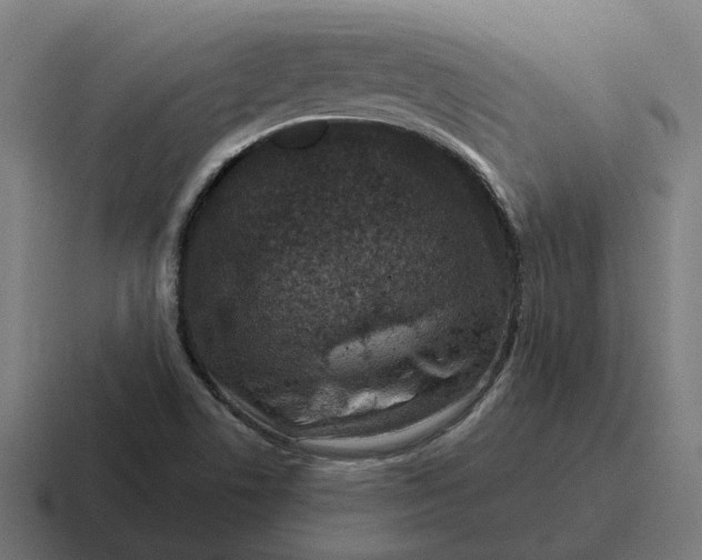 X0000116811506200912311945