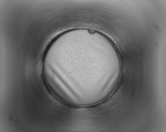 X0000116811507200912311945