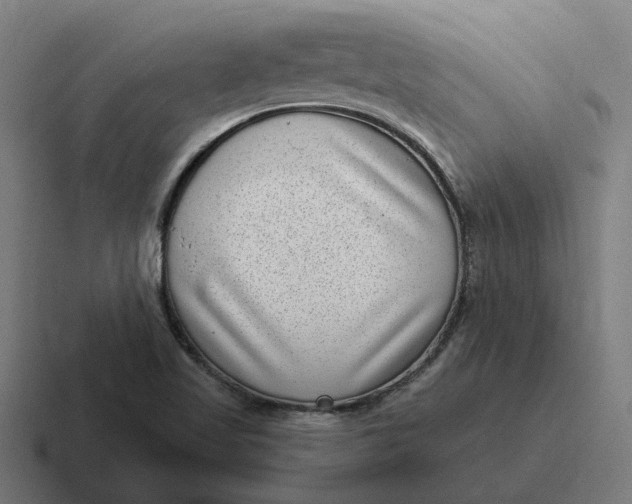 X0000116811509200912311945