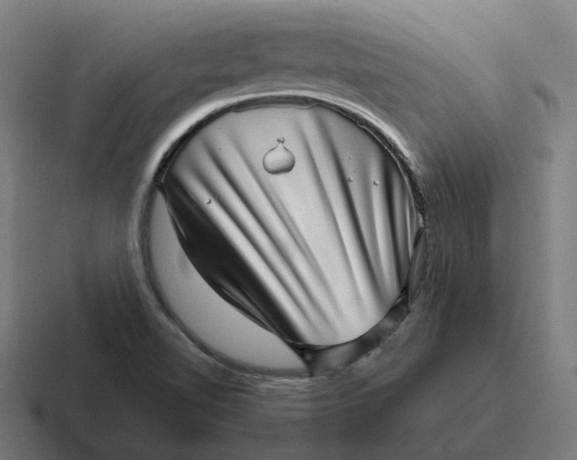 X0000116811510200912311945