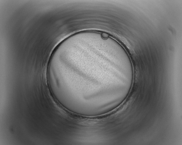 X0000116811513200912311945