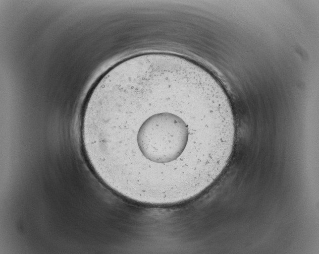 X0000116811514200912311945