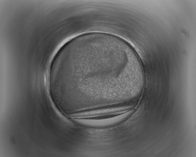 X0000116811515200912311945