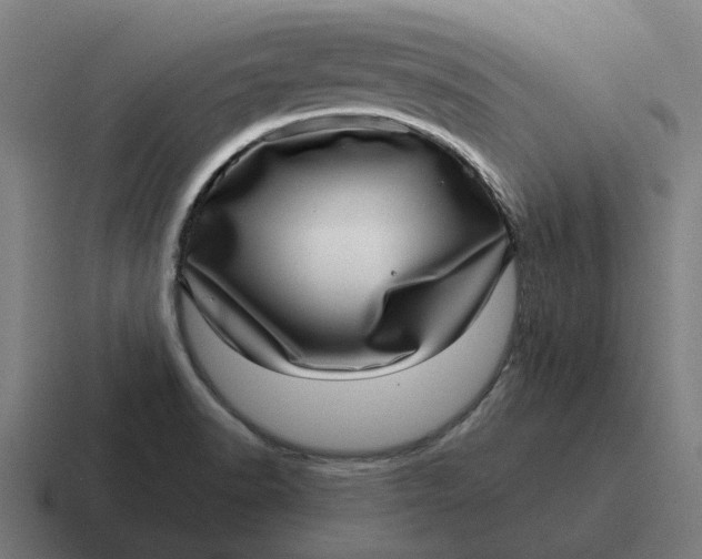 X0000116811518200912311945