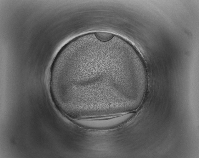 X0000116811519200912311945