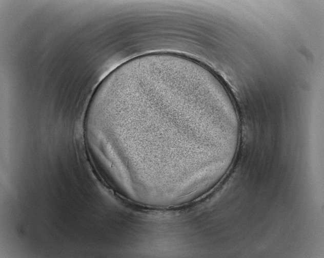 X0000116811521200912311946