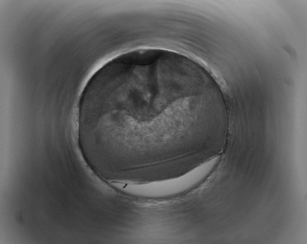 X0000116811522200912311946