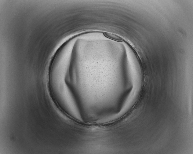 X0000116811523200912311946