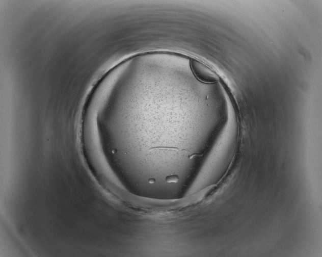 X0000116811525200912311946