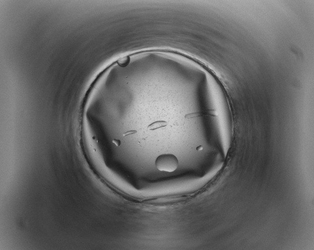 X0000116811526200912311946