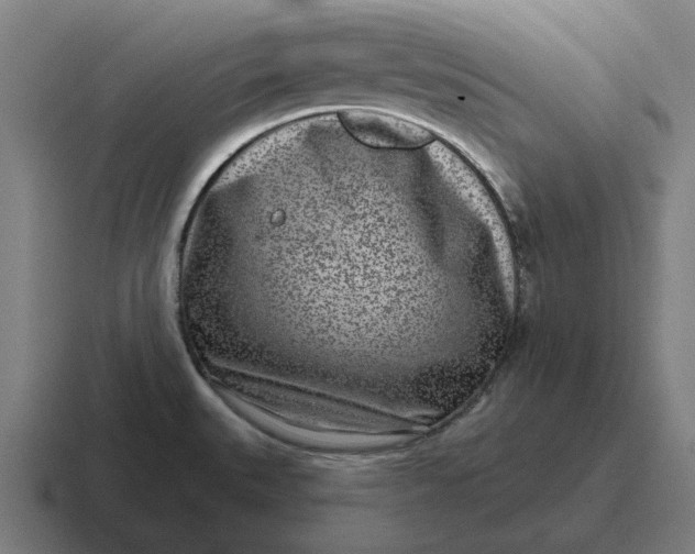 X0000116811527200912311946