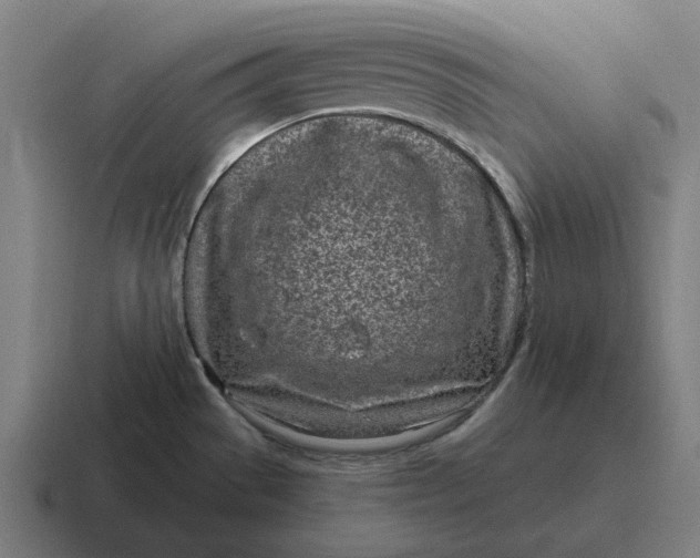 X0000116811529200912311946