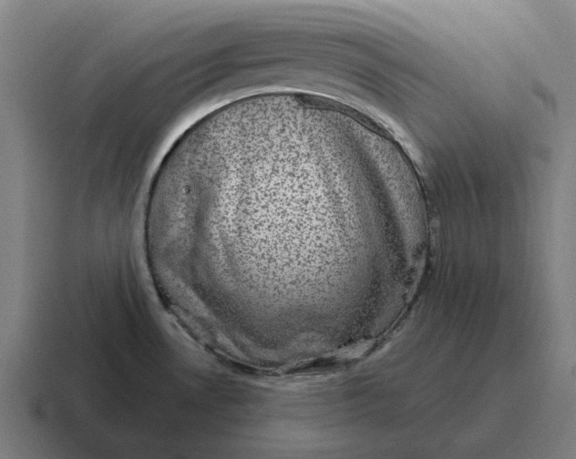 X0000116811530200912311946