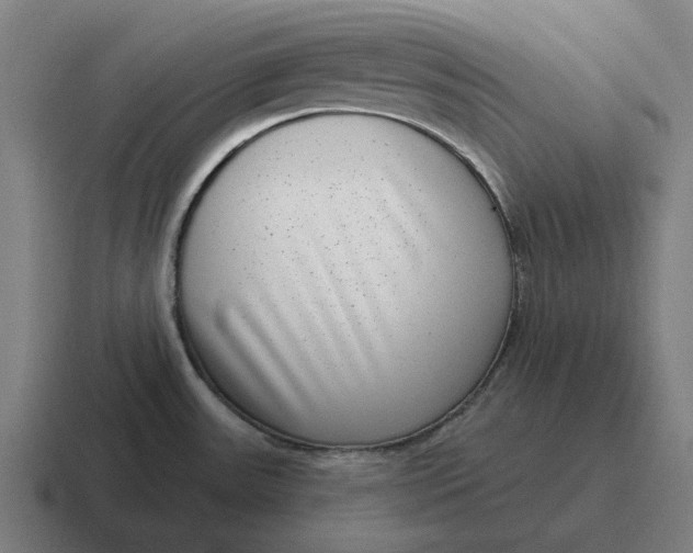 X0000116811531200912311946