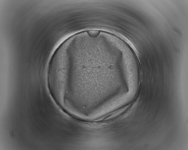 X0000116811533200912311946