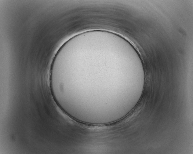 X0000116811535200912311946