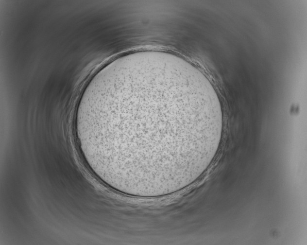 X0000116810001201001081405