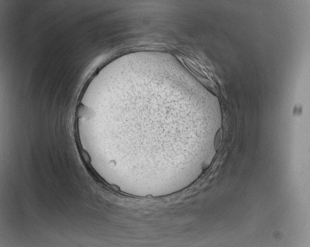 X0000116810003201001081405