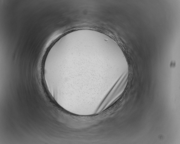 X0000116810006201001081405