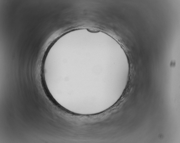X0000116810007201001081405