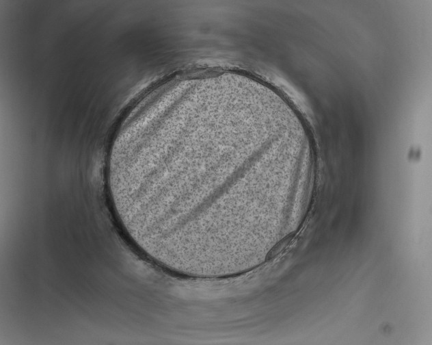 X0000116810009201001081405